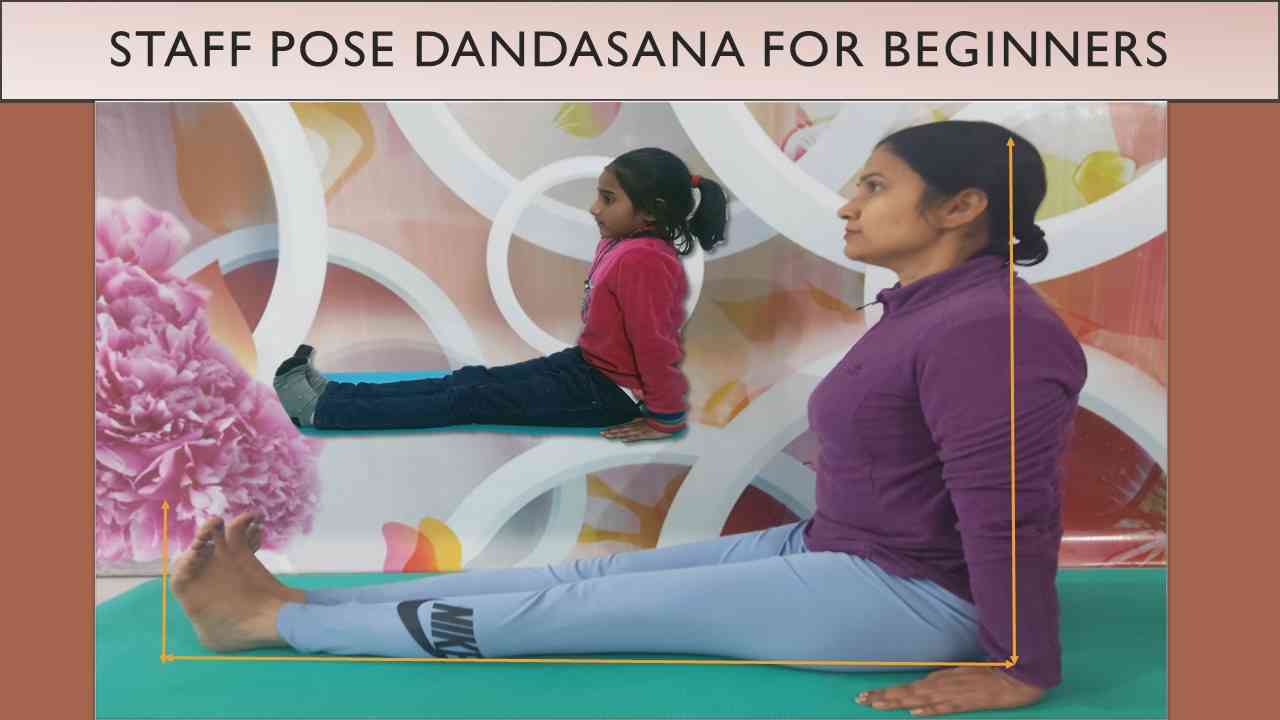 Staff Pose Dandasana for Beginners (दंडासन)