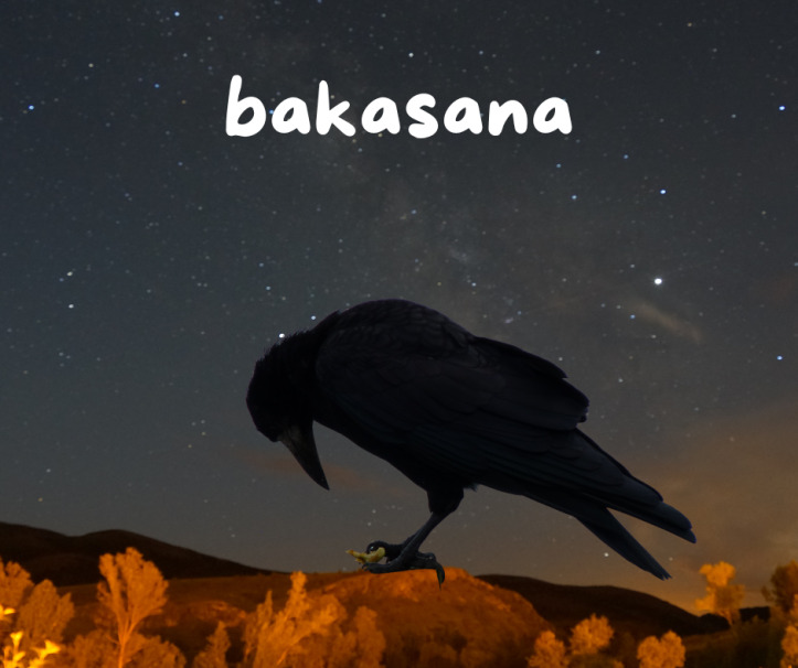 BAKASANA (Crow Yoga Pose)